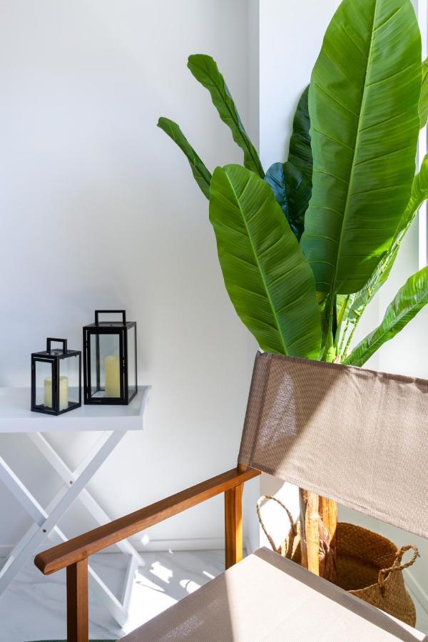 Central Sunny Perch 2 Bed 1 Bath Apartment Christchurch Luaran gambar